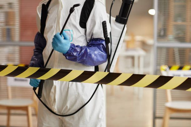 Professional Sewage Cleanup technician working in Berlin, NH